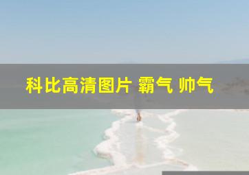 科比高清图片 霸气 帅气